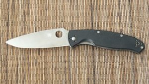 Spyderco Resilience