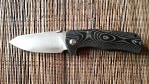 lionsteel TM1 molletta